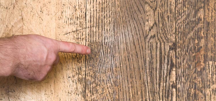 Wood Door Scratch Repair in Coral Springs